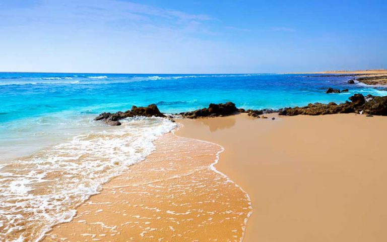 Beautiful Beach in Fuerteventura