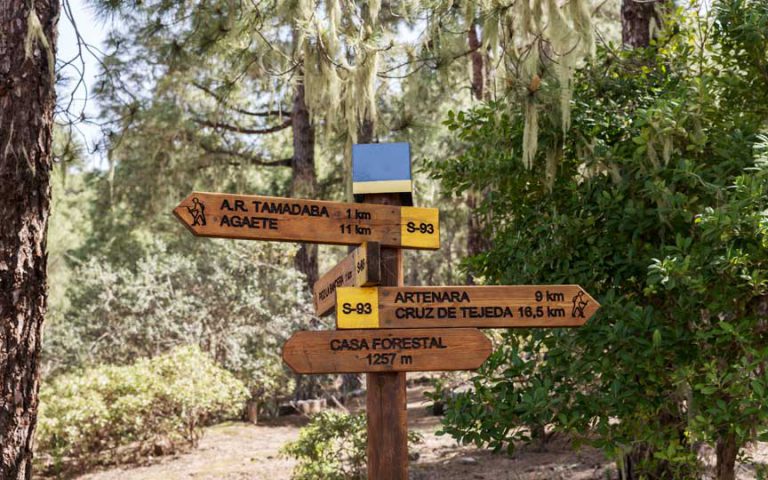Hiking Trail in Tamadaba Natural Park