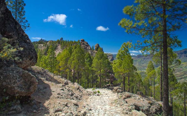 Trail to Roque Nublo