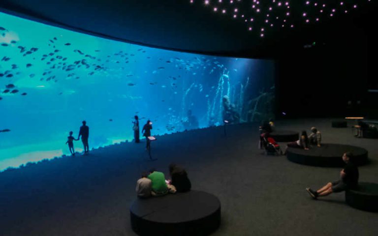 Poem of the Sea Aquarium Gran Canaria